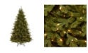 National Tree Company 7.5 ft. Neshanic Valley Spruce Tree with Dual Color&reg; LED Lights